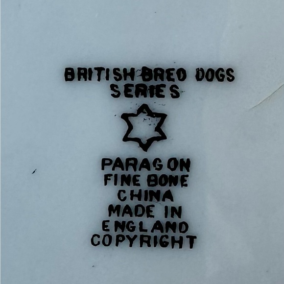 Paragon British Dog Series 7” Plate - Picture 2 of 6
